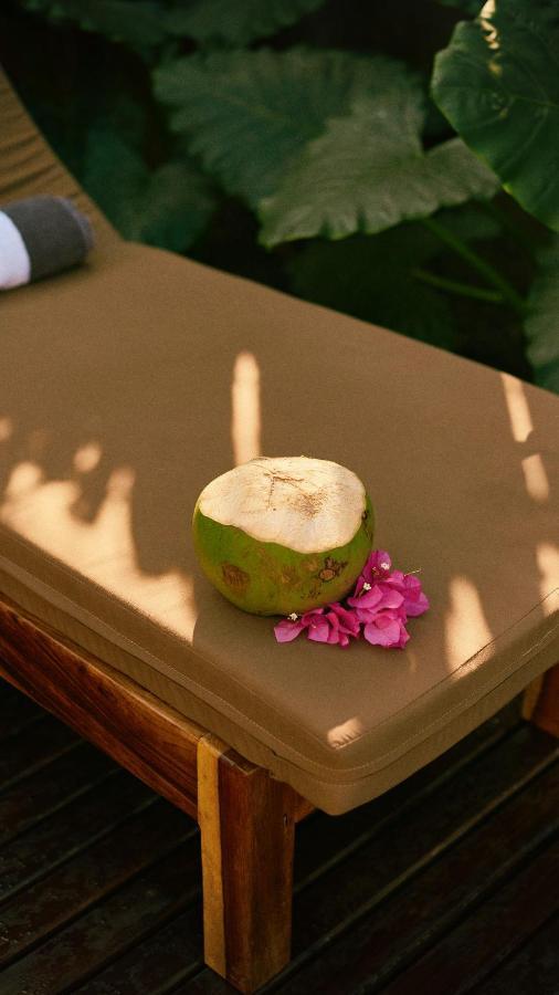 Aldea Paraiso - Adults Only - Boutique Hotel 푸에르토 에스콘디도 외부 사진