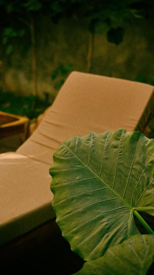 Aldea Paraiso - Adults Only - Boutique Hotel 푸에르토 에스콘디도 외부 사진